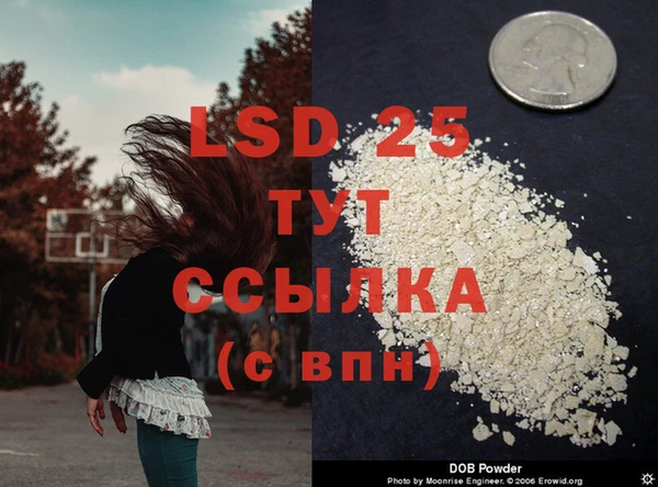 сатива Вязьма