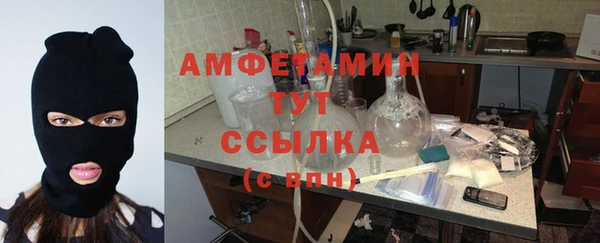 сатива Вязьма