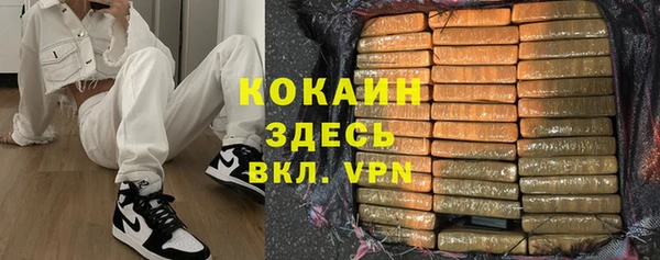 сатива Вязьма