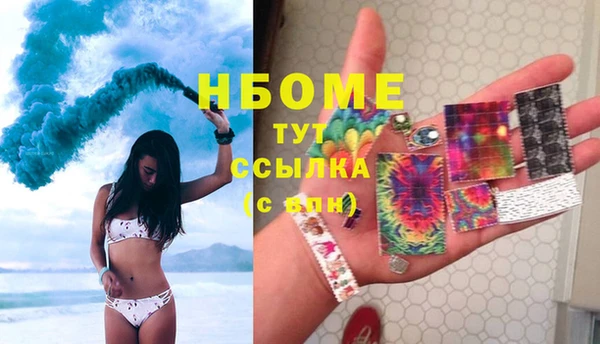 сатива Вязьма