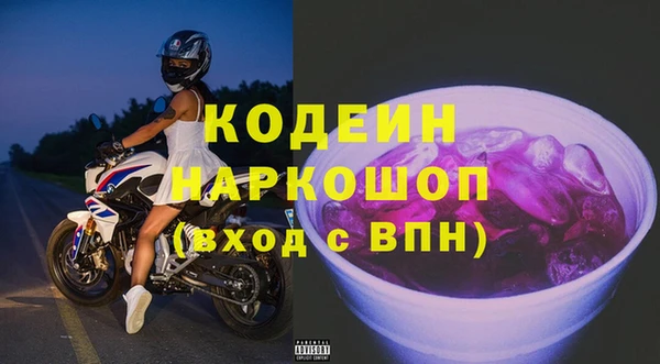 СК Горнозаводск