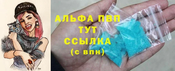 сатива Вязьма