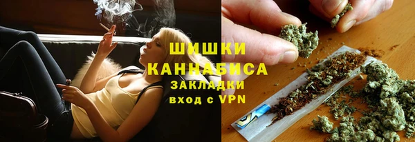 прущие грибы Волоколамск
